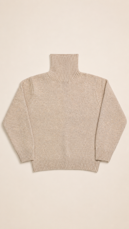 Pull Col Roulé